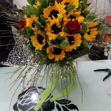 Il Girasole Prázdninový dům